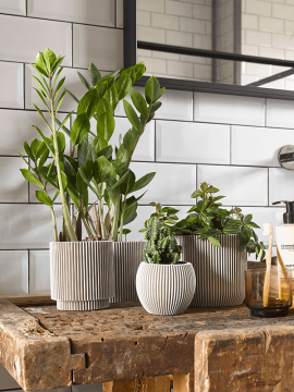 nieuwkoop-planters/6CAPGI131_1