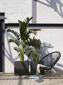nieuwkoop-planters/6CAPTB902_1