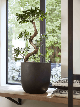 nieuwkoop-planters/6CAPTB935_1