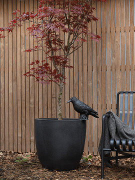 nieuwkoop-planters/6CAPTB935_2