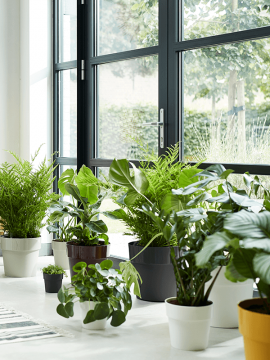 nieuwkoop-planters/6ELHBO25W_1