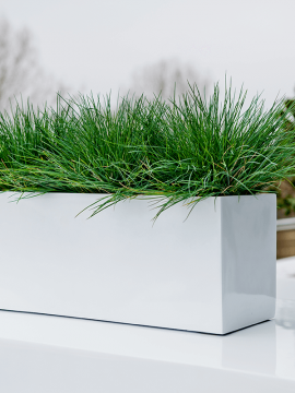 nieuwkoop-planters/6FSTGWBB50_1