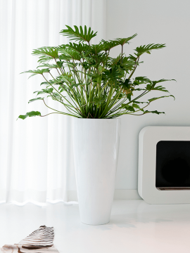 nieuwkoop-planters/6FSTGWDA20_1