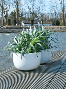 nieuwkoop-planters/6FSTGWS60_1