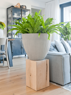 nieuwkoop-planters/6FSTRICJ8_1