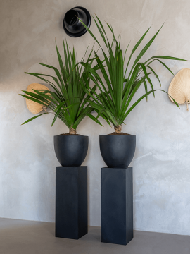 nieuwkoop-planters/6FSTRJEB4_1