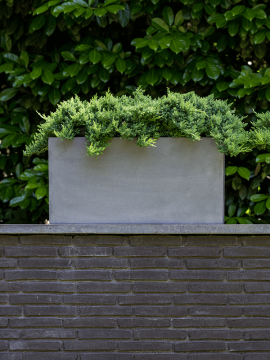 nieuwkoop-planters/6FSTRJG40_1
