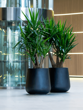 nieuwkoop-planters/6FSTRPAB46_1