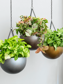 nieuwkoop-planters/6GRDH38CB_1