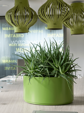 nieuwkoop-planters/6HLU04820_1