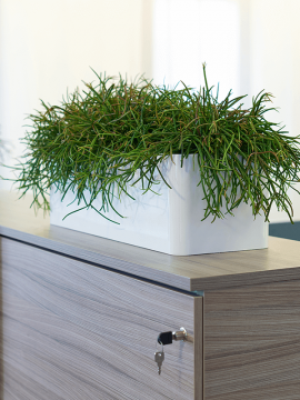 nieuwkoop-planters/6HLU05380_1