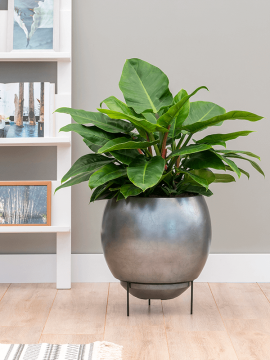 nieuwkoop-planters/6MTLC48SB_1