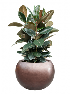 nieuwkoop-planters/6MTLC50CB_1