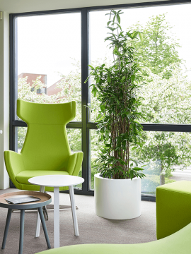 nieuwkoop-planters/6MXL03940_1