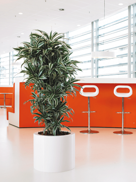 nieuwkoop-planters/6MXL03940_2