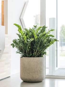 nieuwkoop-planters/6PPNE5496_2