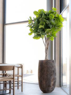 nieuwkoop-planters/6PPNOYS46_1