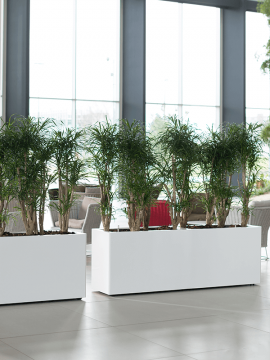 nieuwkoop-planters/6PRG02400_1