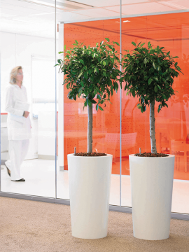 nieuwkoop-planters/6PRI03390_1
