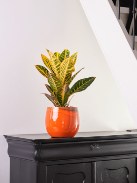 nieuwkoop-planters/6PTR62409_2