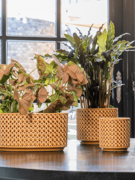 nieuwkoop-planters/6PTR64541_2