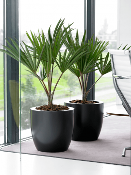 nieuwkoop-planters/6TOP00980_3