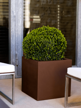 nieuwkoop-planters/6VONCUBB3_1