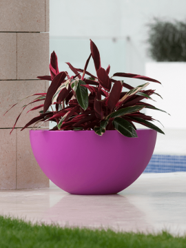 nieuwkoop-planters/6VONSFEB1_1