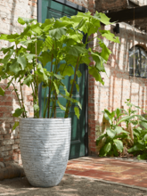 Кашпо Capi Nature Row NL (Vase Elegant Low Ivory) Арт: 6CAPTOV62 1