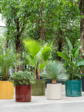 Кашпо Cylinder (Pot Deep Red) Арт: 6CILDR050 1