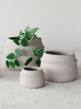 Кашпо Chive (Orchidpot Silk) Арт: 6DMP7791S 1