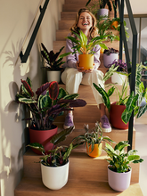 Кашпо Jazz (Round Amber Yellow) Арт: 6ELHJR19Y 1