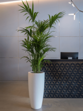 Кашпо Fiberstone (Dax L Matt white) Арт: 6FSTMWD10 2