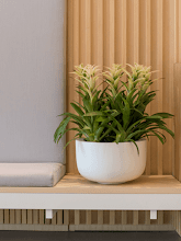 Кашпо Fiberstone (Sunny M Matt white) Арт: 6FSTMWS20 1
