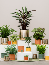 Кашпо Eno Duo (Pot Dusty Green) Арт: 6LIMENPG4 1