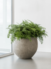 Кашпо Urban (Jumbo Orb M Beige Washed) Арт: 6PPNE5472 3