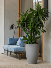 Кашпо Refined (Ben L Clouded Grey) Арт: 6PPNRB661 1