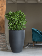 Кашпо Refined (Ben L Volcano Black) Арт: 6PPNRB668 1