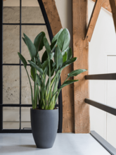 Кашпо Refined (Ben L Volcano Black) Арт: 6PPNRB668 2