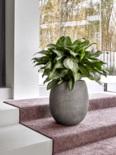 Кашпо Polystone Coated Plain (Balloon Raw Grey (with liner)) Арт: 6PSC464RG 1