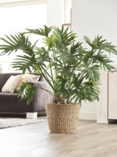 Кашпо Jip (Pot Natural) Арт: 6PTR62357 1