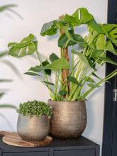 Кашпо Ryan (Pot Shiny Gold) Арт: 6PTR66023 1