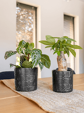 Кашпо Sil (Pot Matt Black) Арт: 6PTR66863 1