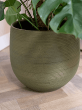 Кашпо Lydia (Pot Shiny Green) Арт: 6PTR69744 2