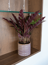 Кашпо Hera (Pot Purple) Арт: 6PTR69781 1