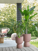 Кашпо Pure® (Coupe Rosy Brown) Арт: 6PURCP35R 1