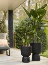 Кашпо Pure® (Coupe Black) Арт: 6PURCP41Z 1