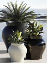 Кашпо Venus (Basic round color:) Арт: 6VONVNSB3 1