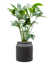 Кашпо Baq Raindrop (Cylinder Anthracite) Арт: 6RDPAT516 1