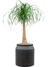 Кашпо Baq Raindrop (Cylinder Anthracite) Арт: 6RDPAT516 2